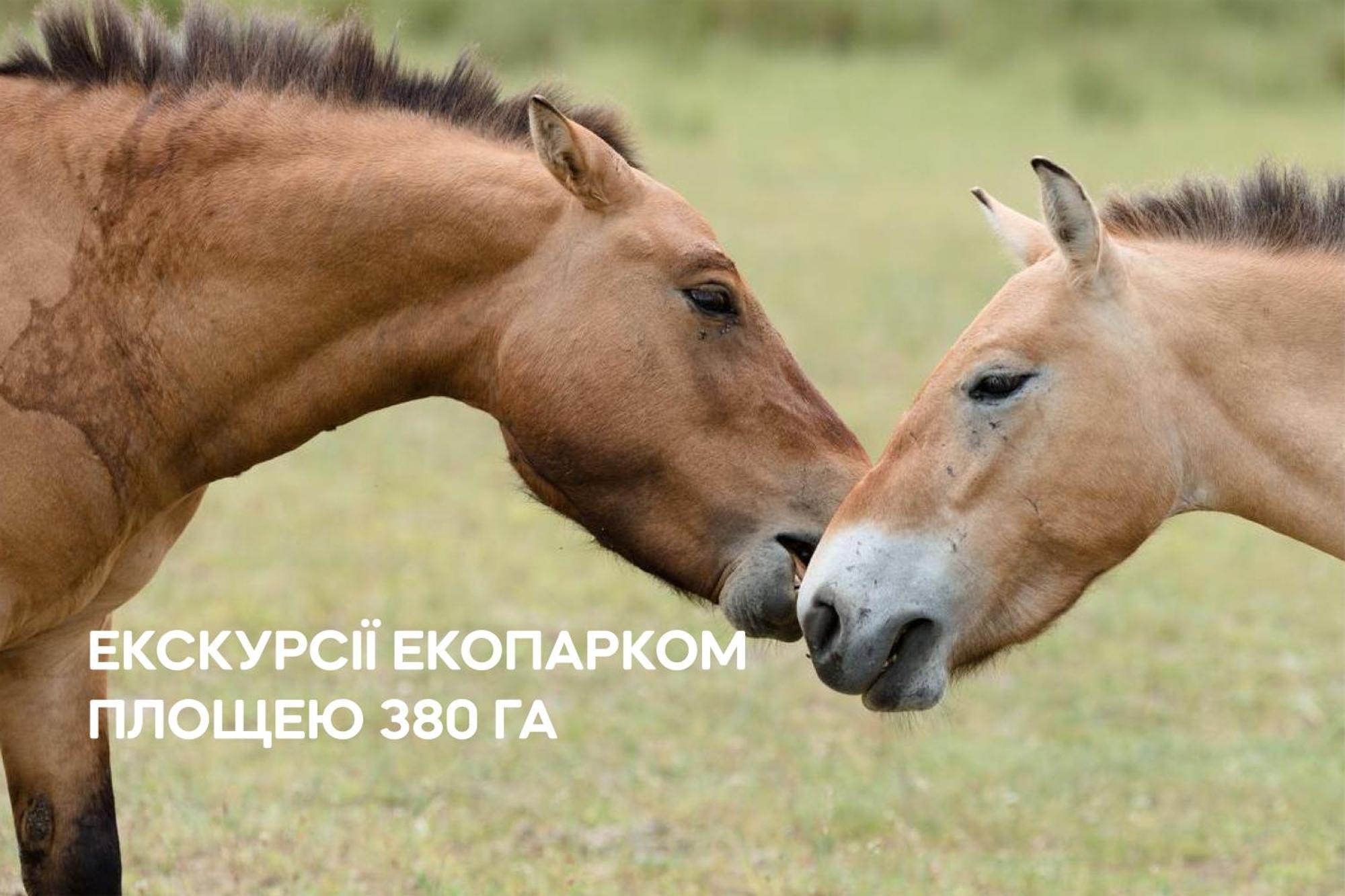Dereville Sokolovka Εξωτερικό φωτογραφία